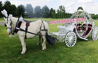 Small Cinderella Princesss Horse Carriage