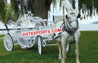 White Cinderella Pumpkin Carriage