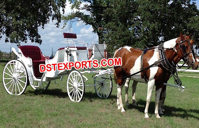 European Wedding Vintage Buggy