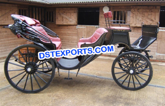 Beautiful Wedding Victoria Horse Carriage