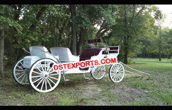 White Limousine Horse Drawn Buggy