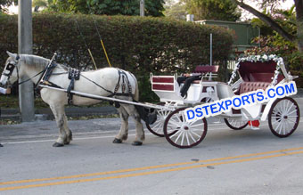 Beautiful Victoria Horse Buggy