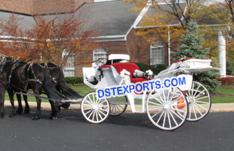 White Wedding Victoria Horse Buggy