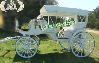 Popular Touring Horse Drawn Buggy/Cart