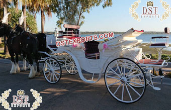 Royal Victoria Tourist Horse Carriage