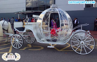 Cinderella Dream Horse Carriage for Wedding