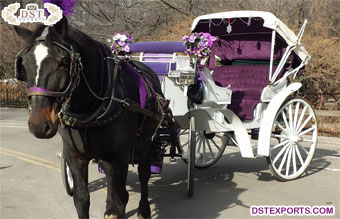 Horse Drawn Touring White Victoria Carriage