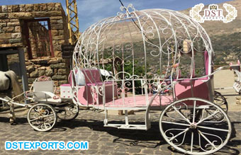 Cinderella Kids Touring Horse Carriage