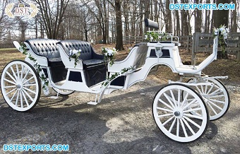 Luxury Vis-a-Vis Horse Drawn Carriage/Buggy