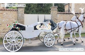 Open Top Touring Horse Carriage for Sale