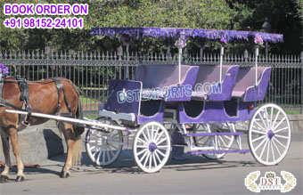Royal Limousine Horse Carriage with Triple Seat
