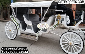 Sightseeing Limousine Elegant White Horse Carriage