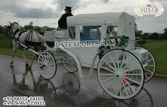 Gorgeous White Hooded Horse Drawn Carriage