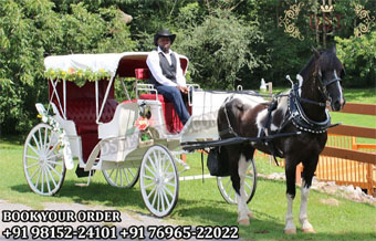 Air Condition Horse Driven Carriage For Sale