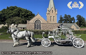 Sweet Wedding Cinderella Horse Carriage