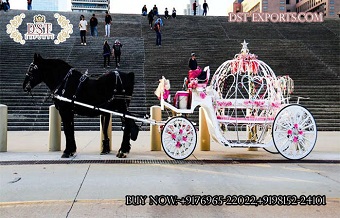 Princess Wedding Cinderella Horse Driven Carriages