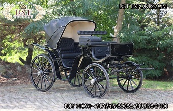 Black Barouche Sightseeing Horse Drawn Carriage