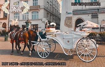 White Victorian Luxury Horse Carriage Manufacturer