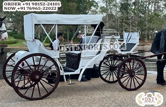 Special Horse Drawn Vis-A-Vis Carriage with Roof