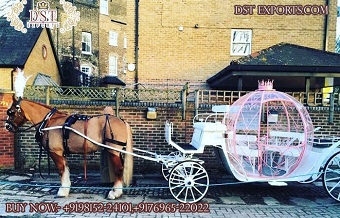 Pinkish Pumpkin Style Horse Drawn Carriage