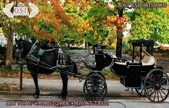 American Victorian Design Black Horse Drawn Carria